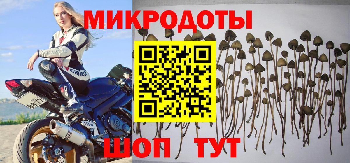 Псилоцибиновые грибы MAGIC MUSHROOMS Пушкино