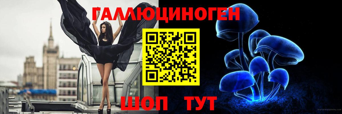 Псилоцибиновые грибы Psilocybe  Вход с VPN  Галлюциногенные грибы MAGIC MUSHROOMS  Пушкино 